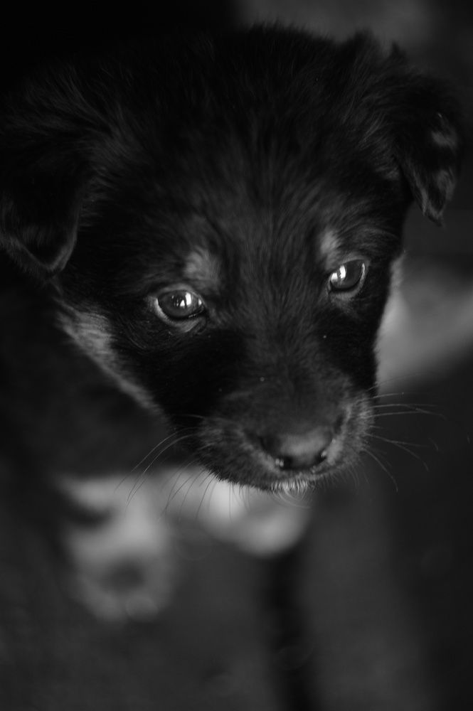 Photograph by Анна Хаустова
