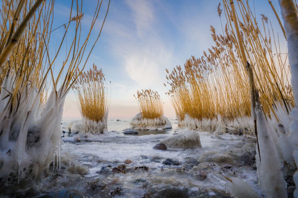 Photograph by Sulev Lange