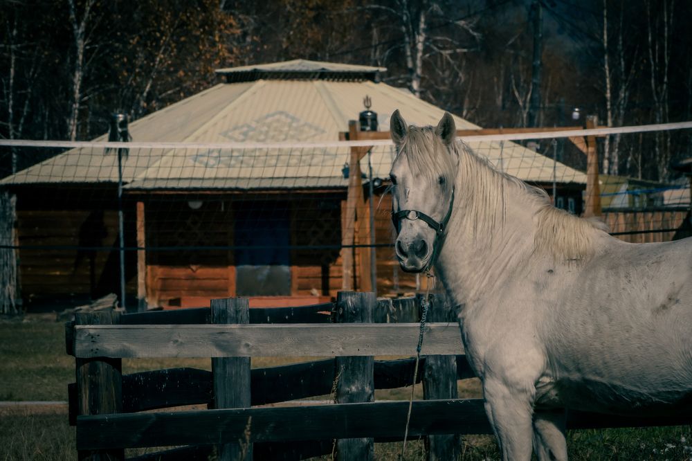 Photograph by Михайлов Юрий Анатольевич
