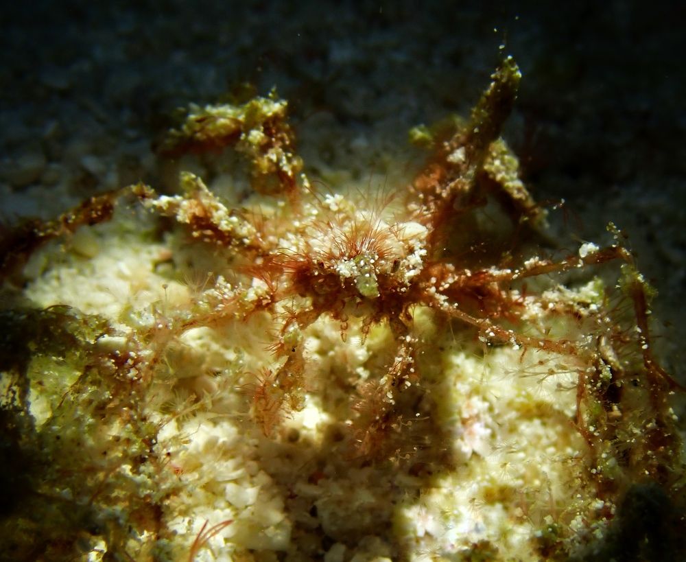 Photograph by Arda Yavuzdogan