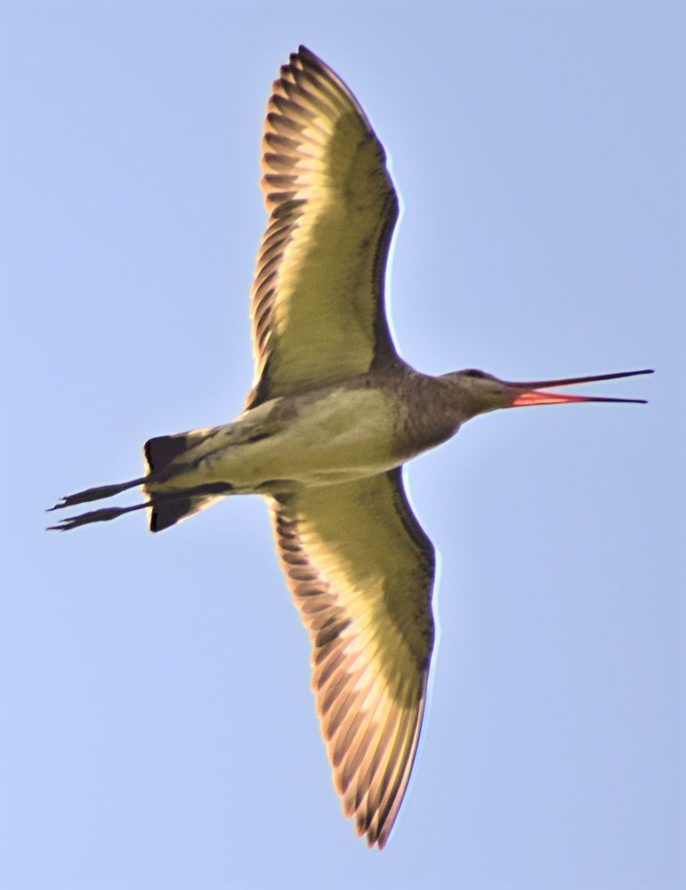 Photograph by Александр Шувалов