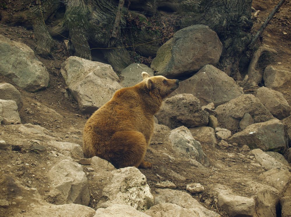 Photograph by Tatevik Tananyan