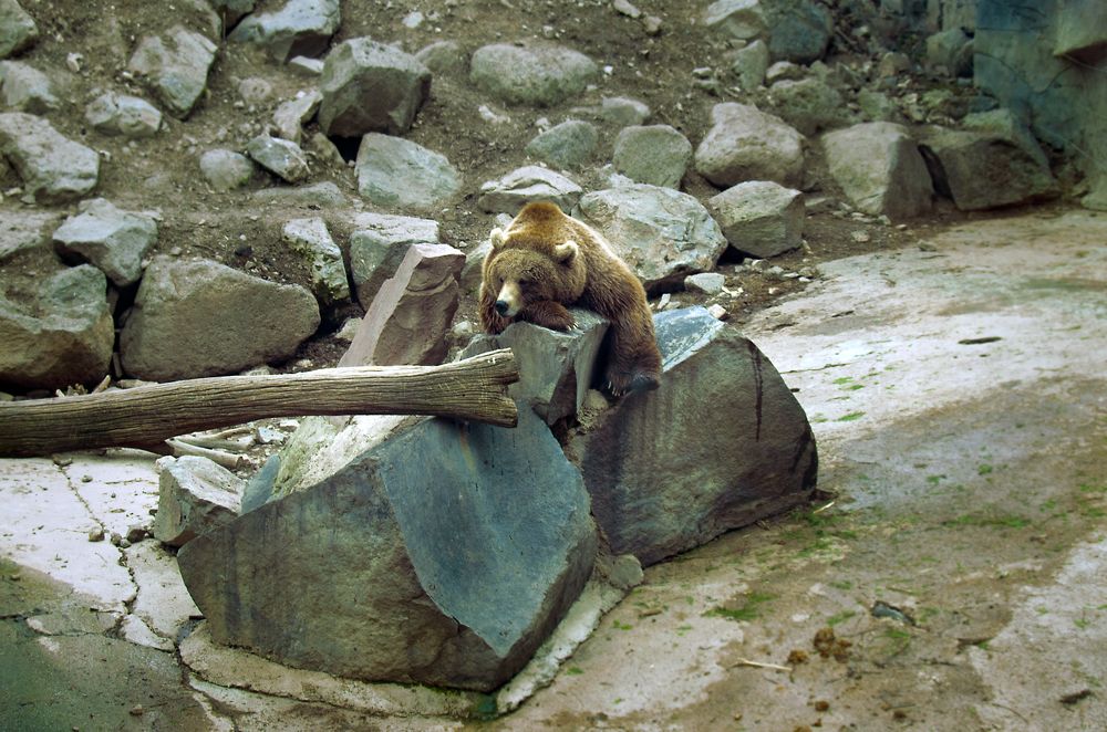 Photograph by Tatevik Tananyan