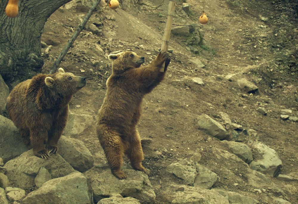 Photograph by Tatevik Tananyan