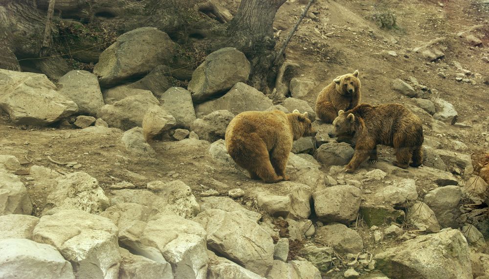 Photograph by Tatevik Tananyan