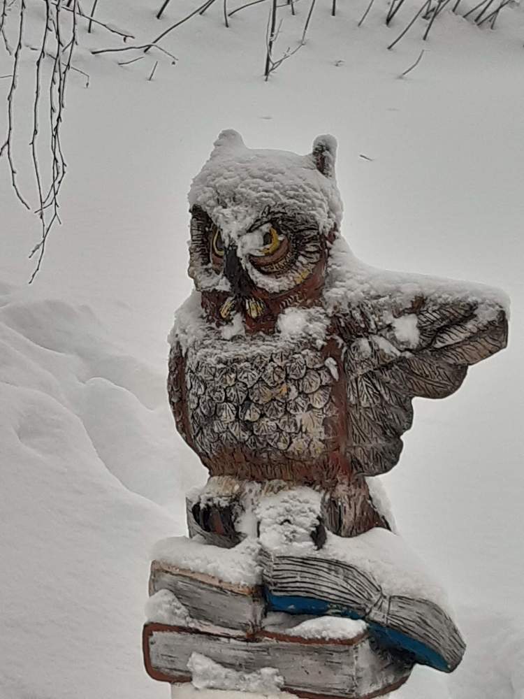 Фотография автора Наталья Шендяпина