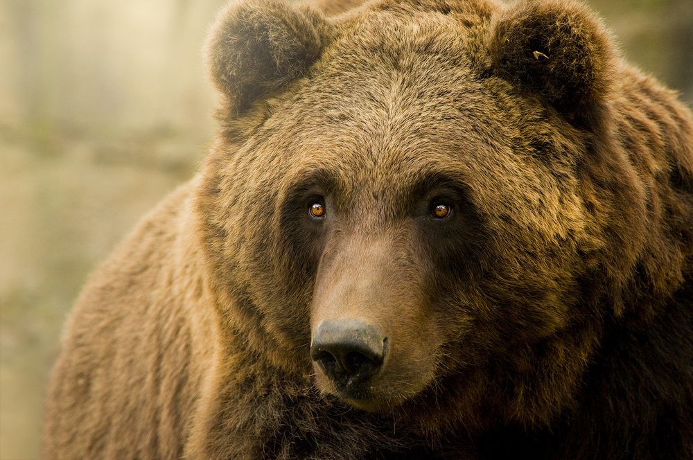 Photograph by Noa Táboas