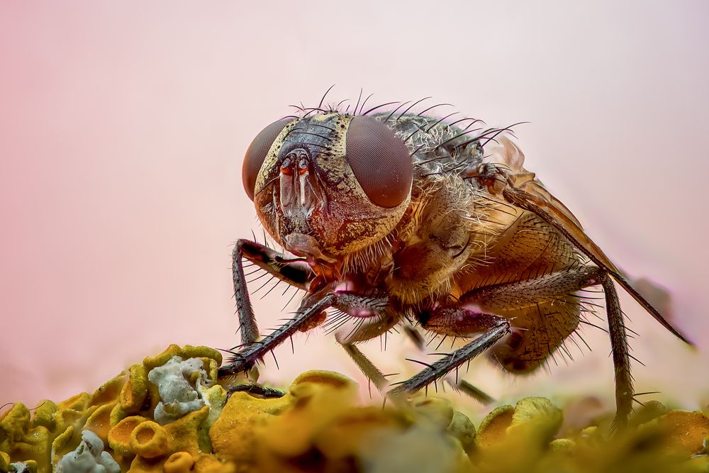 Photograph by Юрий Яковлевич