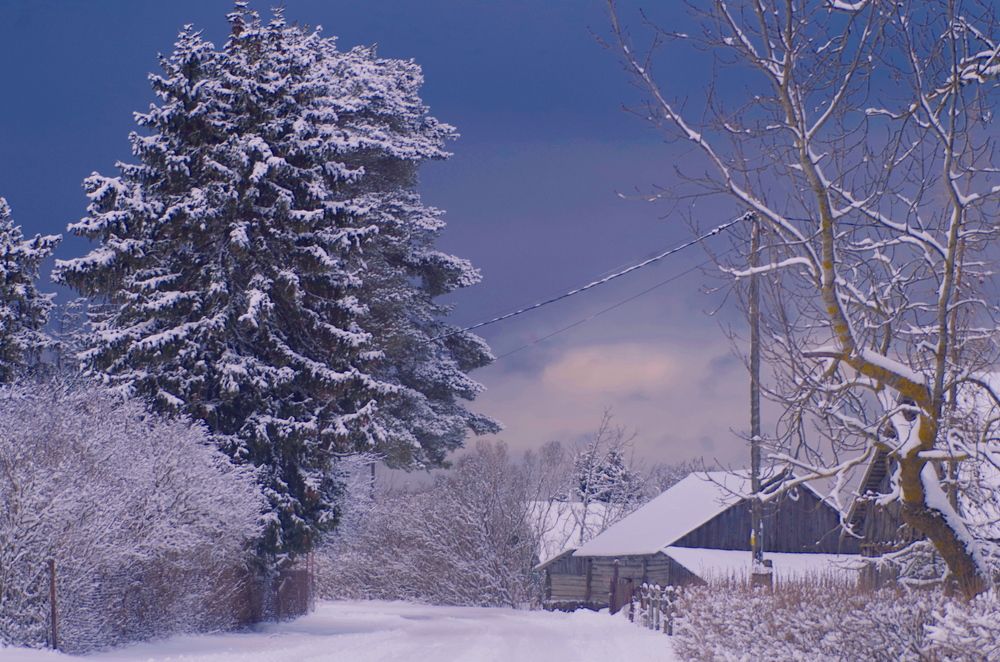 Фотография автора Jevgeni Filimonov