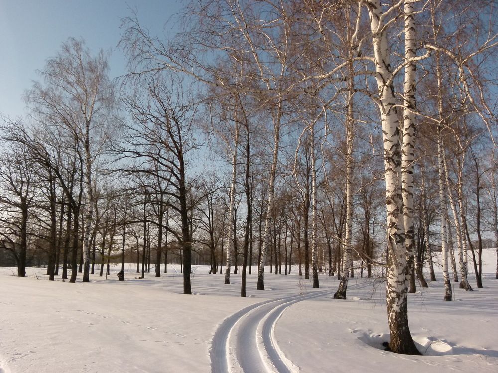 Photograph by Александр Кизим