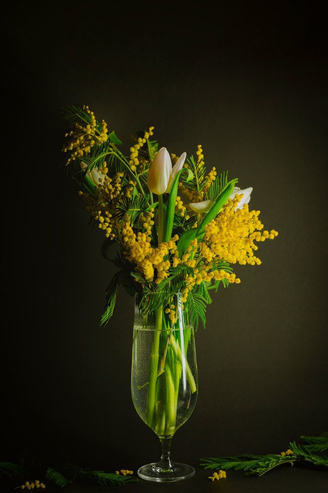 Photograph by Полина Шаронова