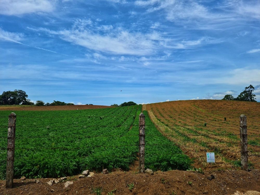 Photograph by Mauricio Mora Flores