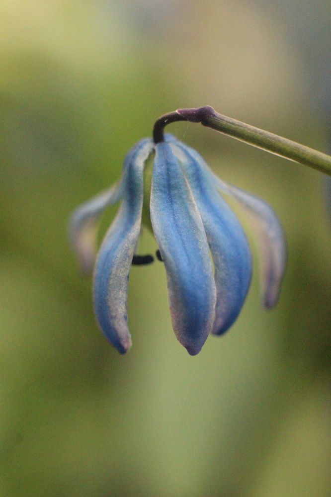 Photograph by Софья Белова