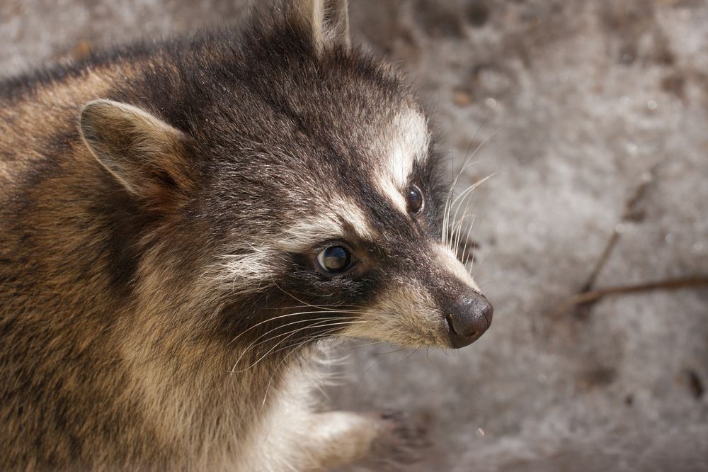Photograph by Сергей Слукин