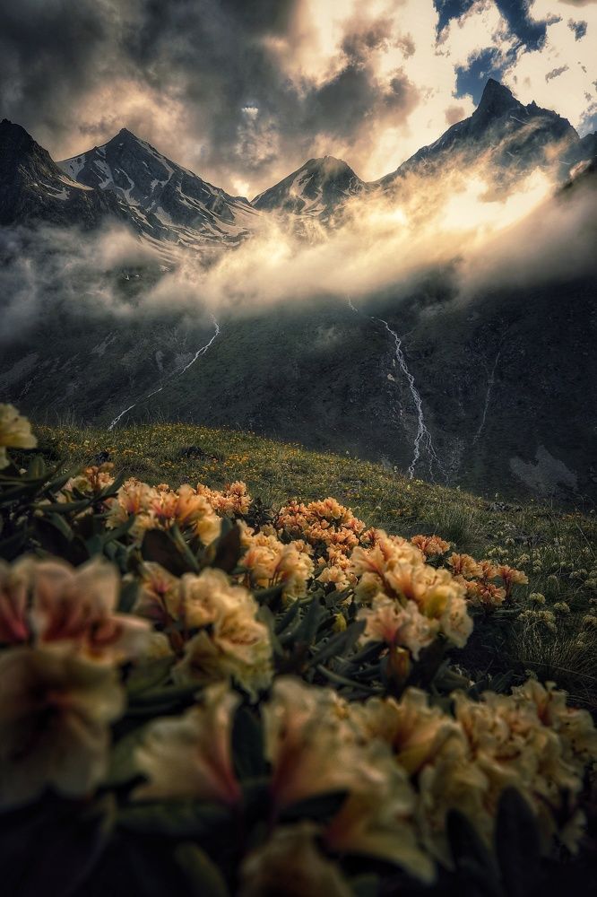 Photograph by Владимир Кульбит