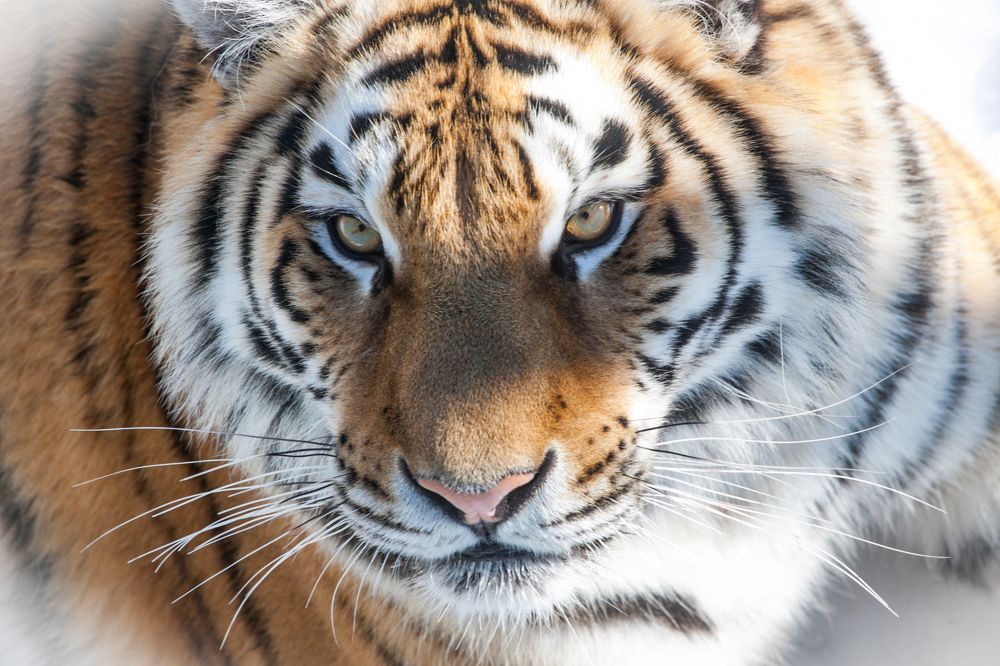 Photograph by Сергей Слукин