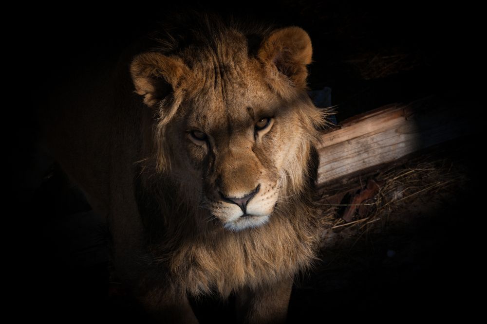 Photograph by Сергей Слукин