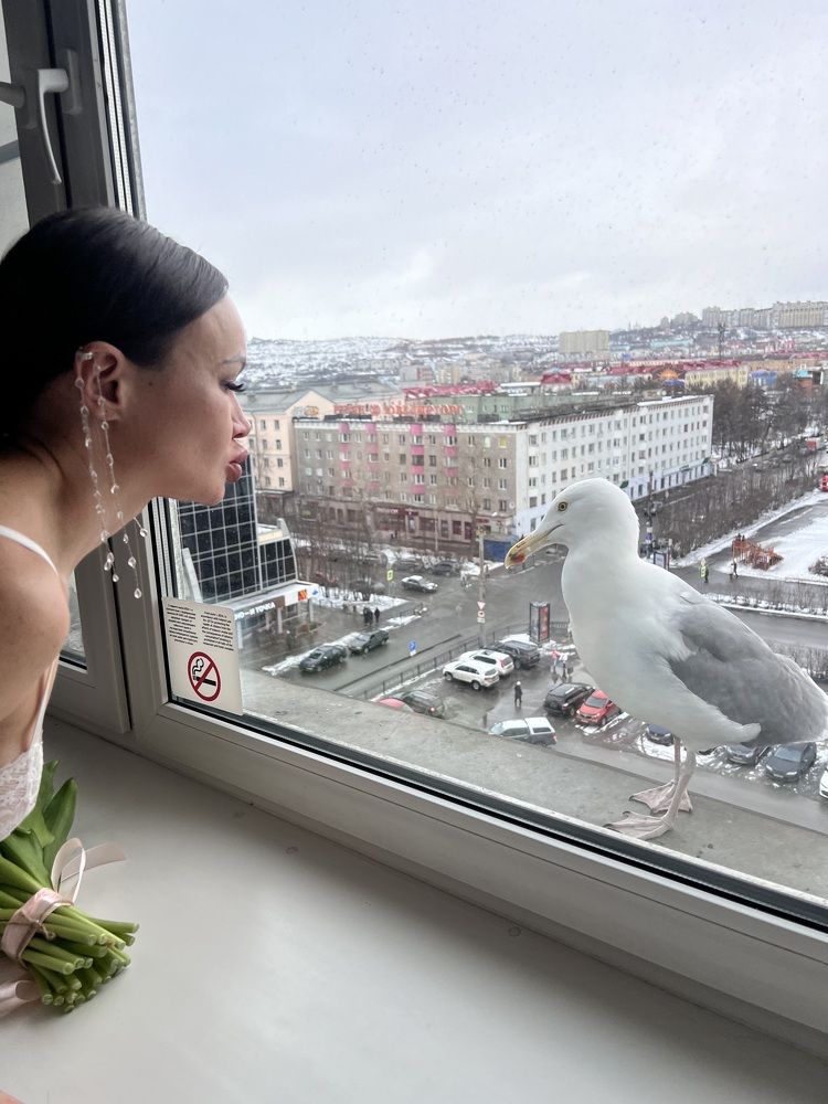 Фотография автора Komarov Svyatoslav