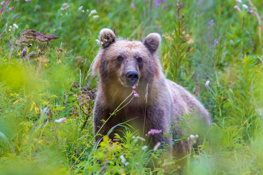 Photograph by Константин Венцлавович