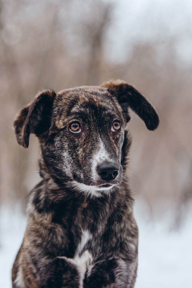 Photograph by Natasha Stugireva