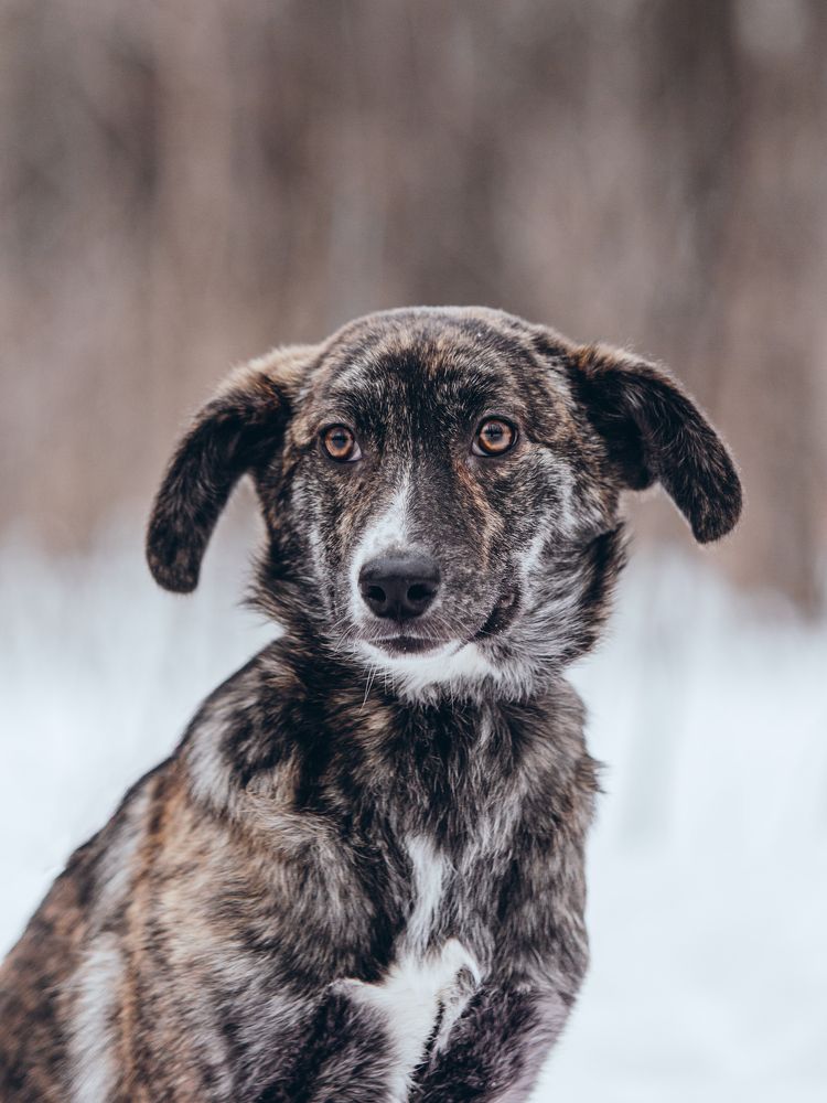 Photograph by Natasha Stugireva