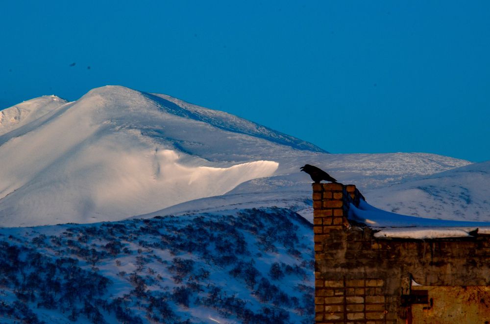 Photograph by Yrii Usoltsev