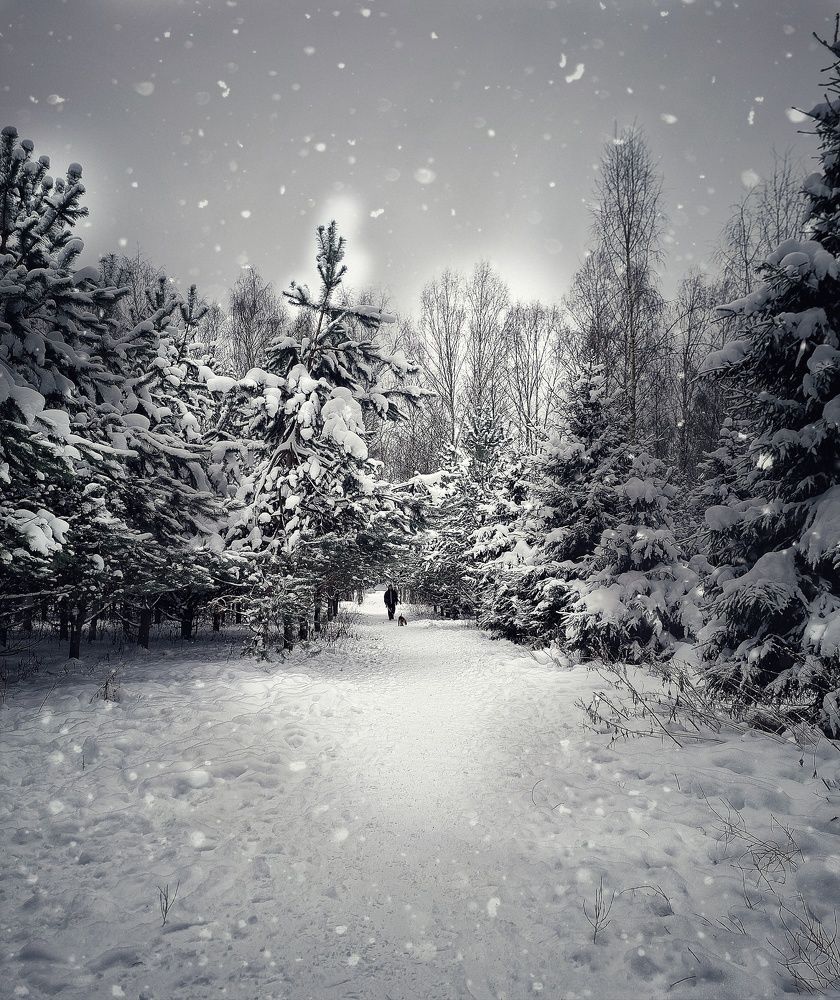 Photograph by Людмила Кухарева