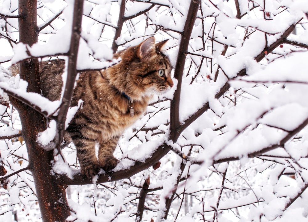 Photograph by Марина Тувышева-Чукавина