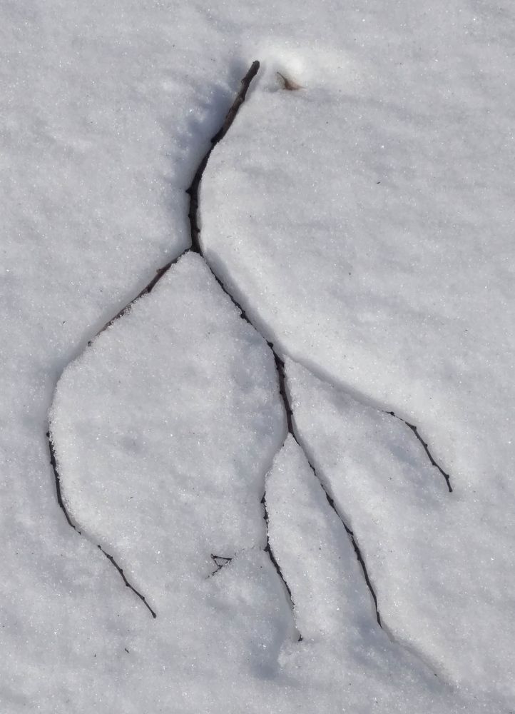 Фотография автора Елена Эйнова