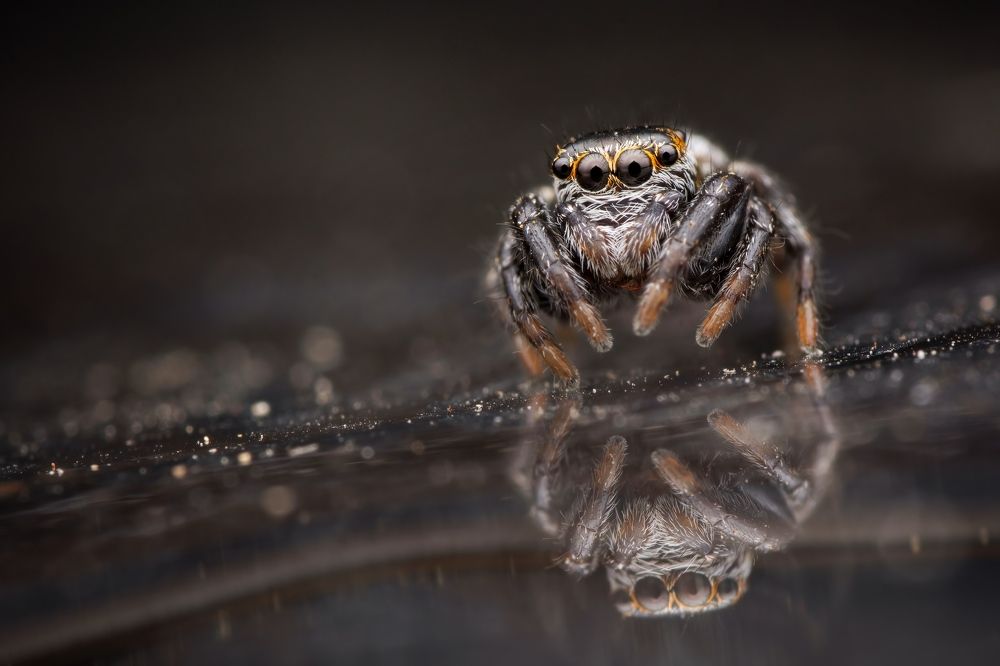 Photograph by Michael Gerhold