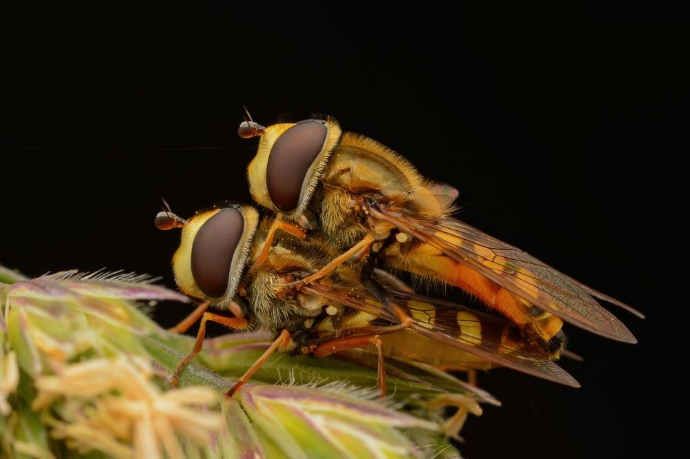 Photograph by Michael Gerhold