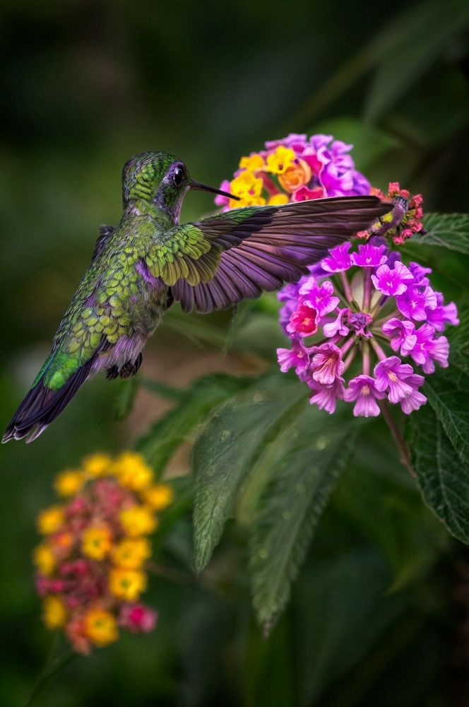 Фотография автора Matias Rodolfo Murua