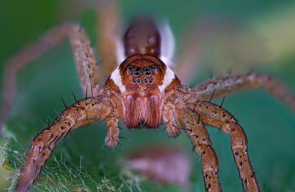 Photograph by Овечкин Павел