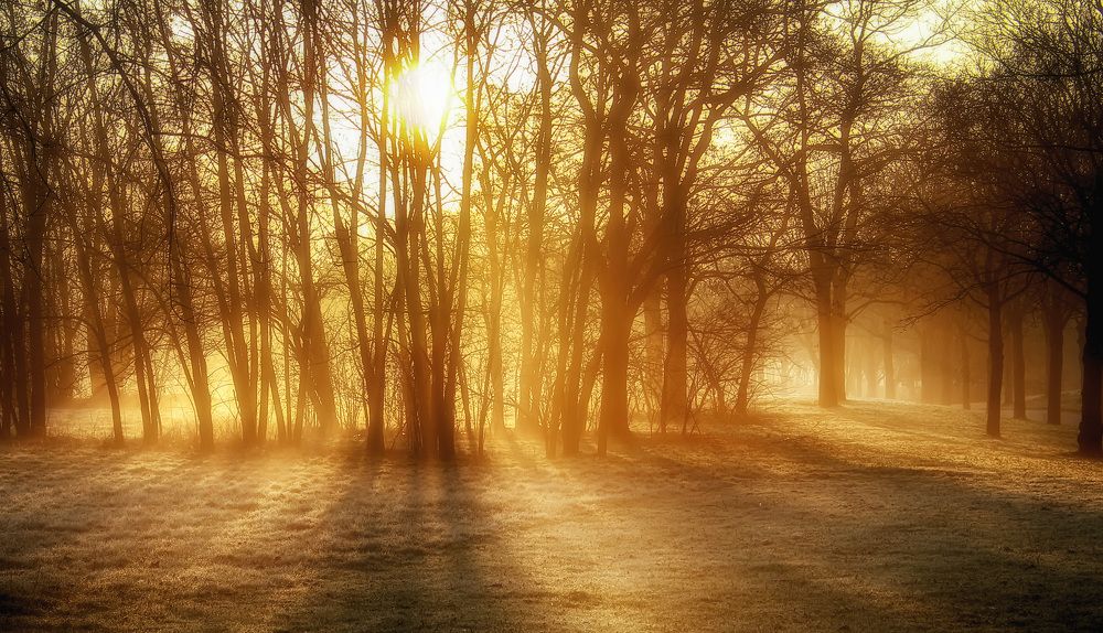 Фотография автора Александр