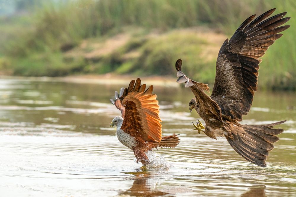 Photograph by Sharad Mansharamani