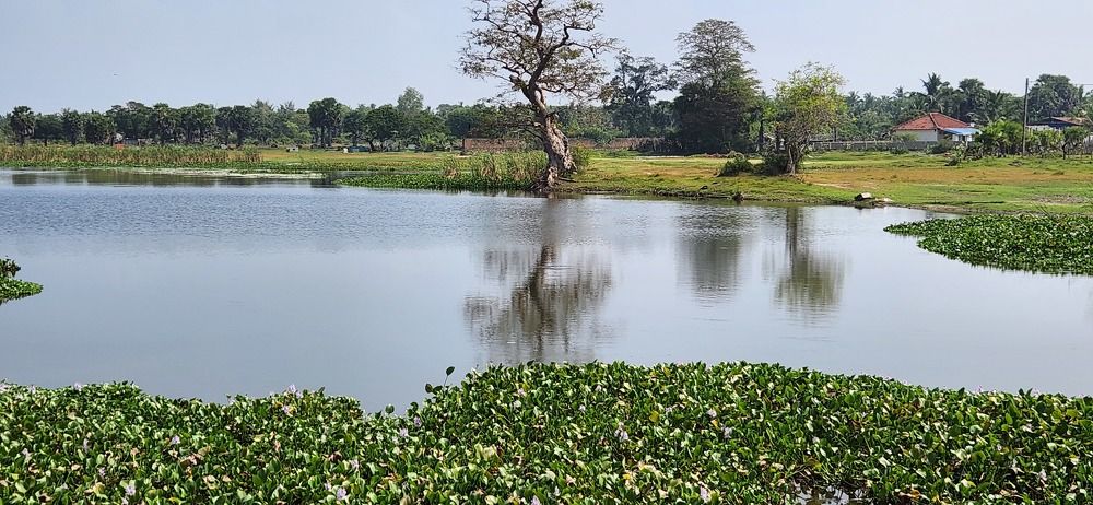 Photograph by Sivanesan
