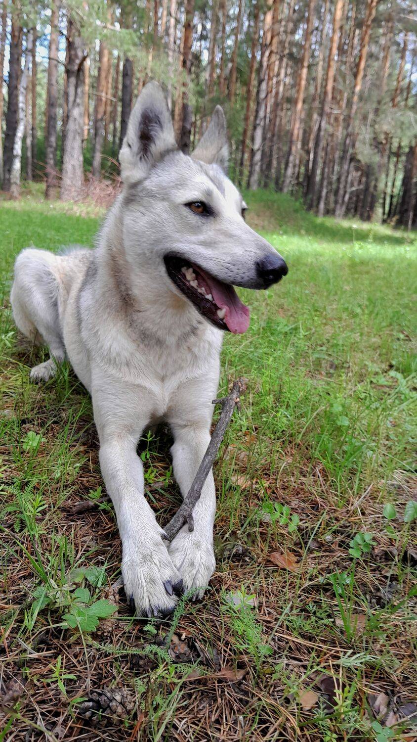 Photo #10467813
