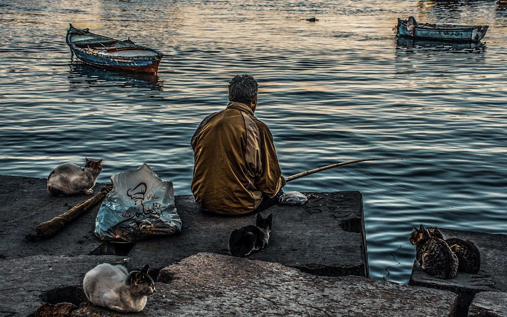 Photograph by Eslam ElsayedEldaramlly