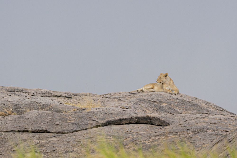 Фотография автора George Mollel