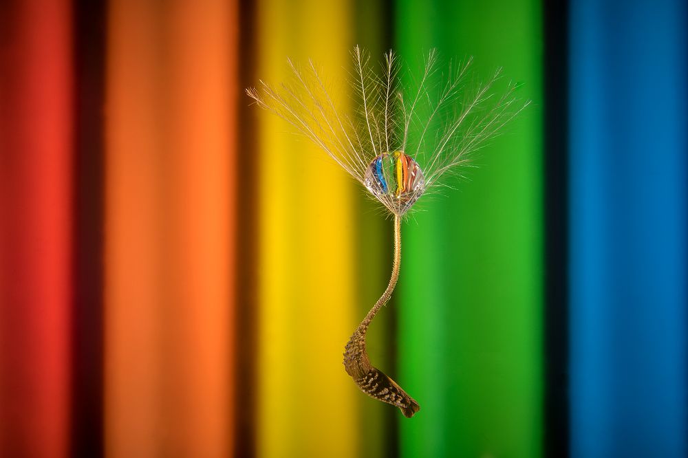 Photograph by Boris Bekelman