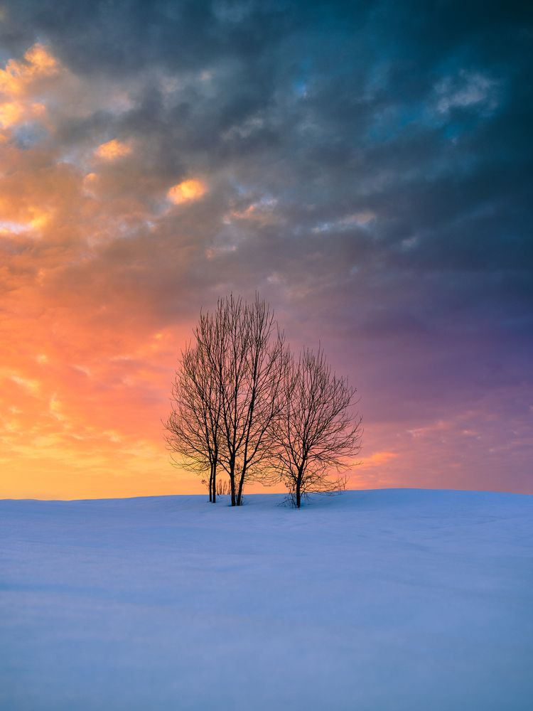 Photograph by Дыбов Дмитрий