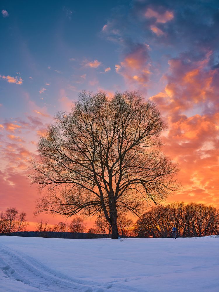 Photograph by Дыбов Дмитрий