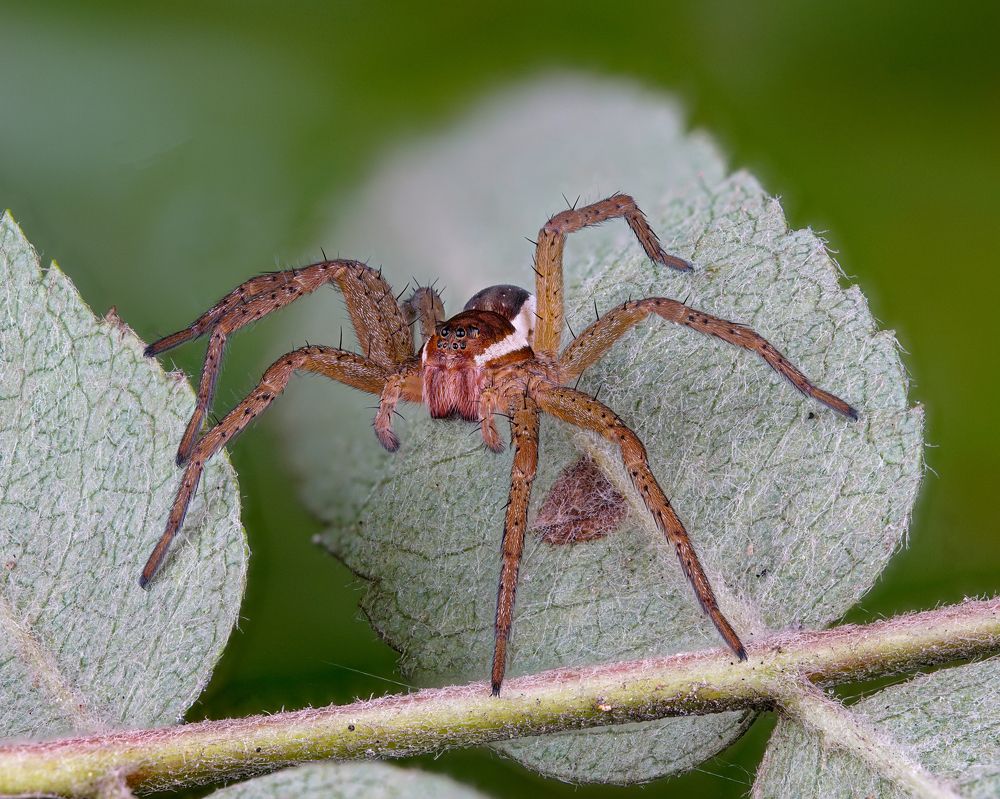 Photograph by Овечкин Павел