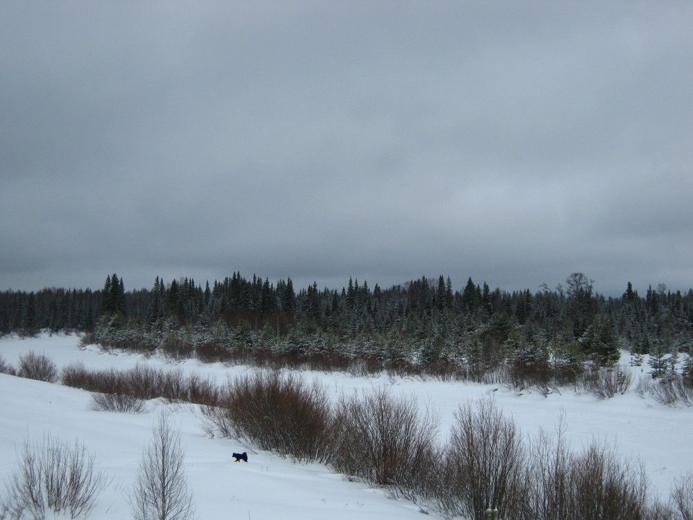 Фотография автора геннадий лалаев