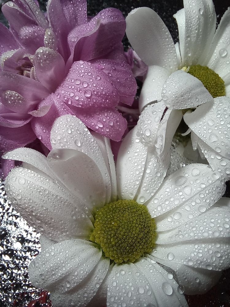 Photograph by Александра Королёва