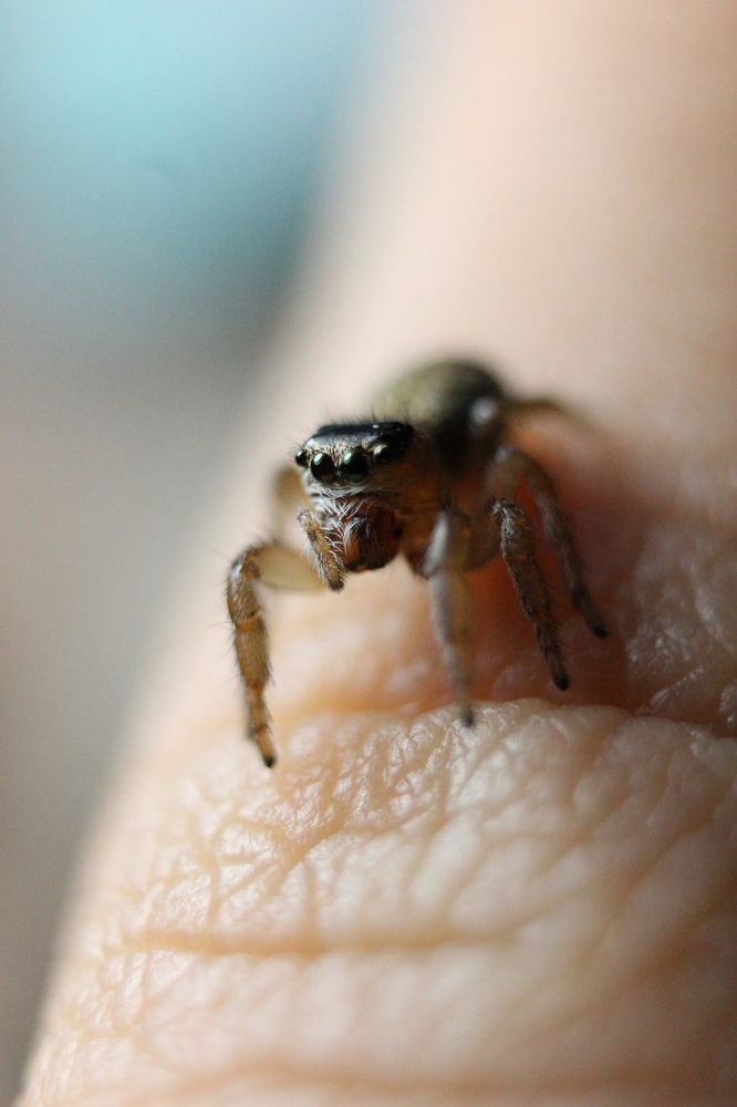 Photograph by Софья Белова