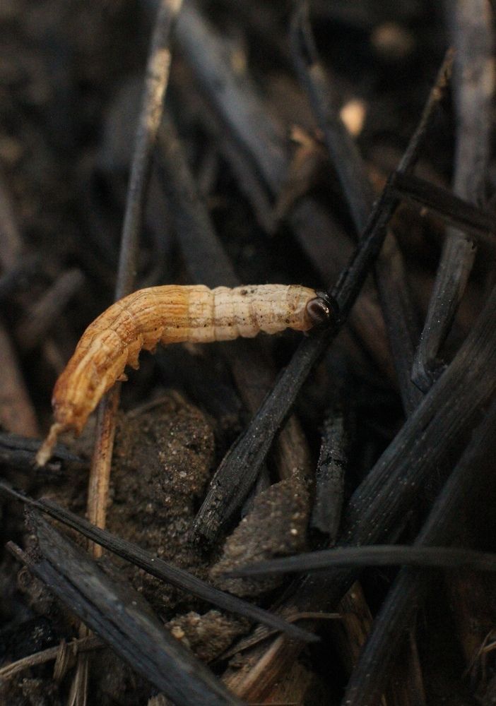 Photograph by Софья Белова