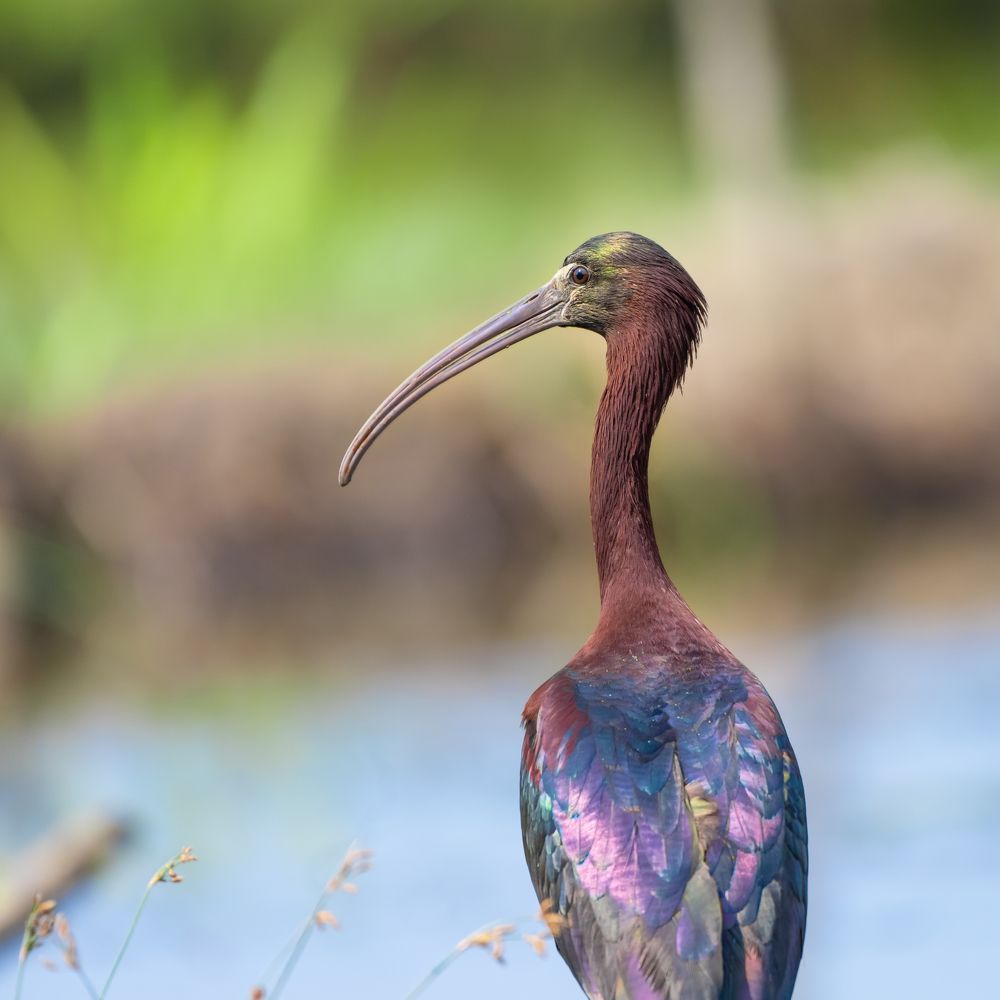 Фотография автора Duong Hai Pham