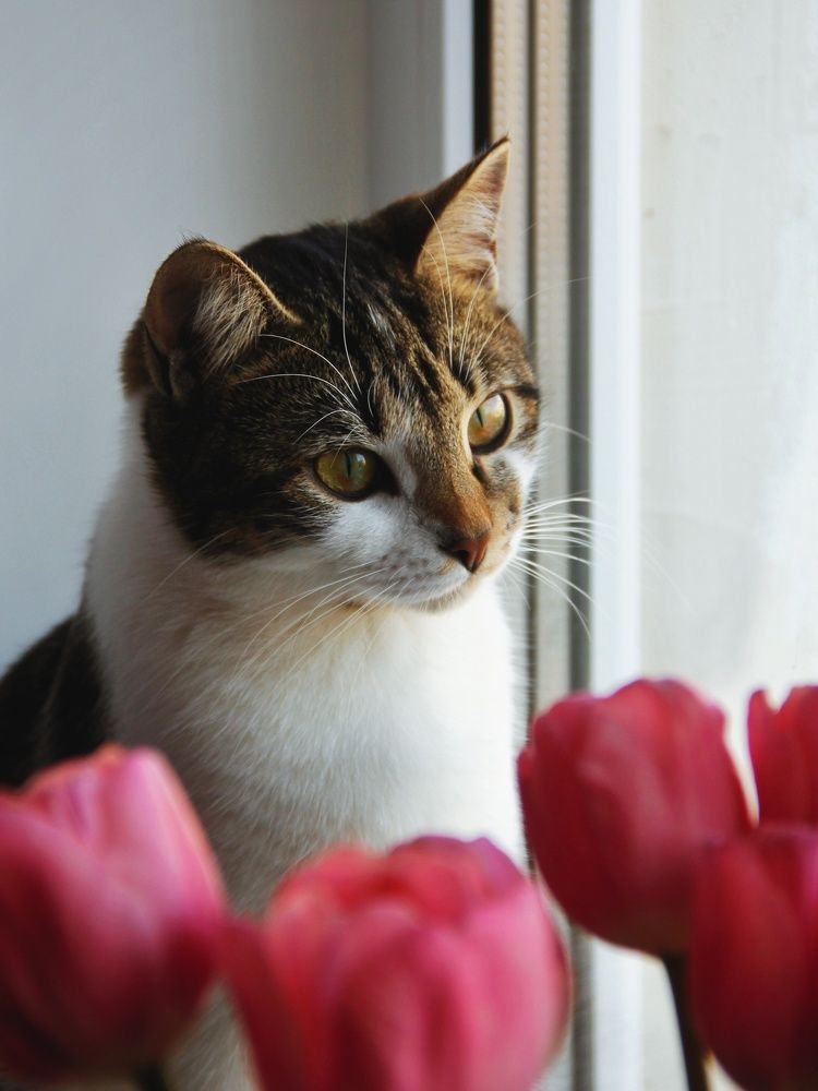 Photograph by Анна Любимова