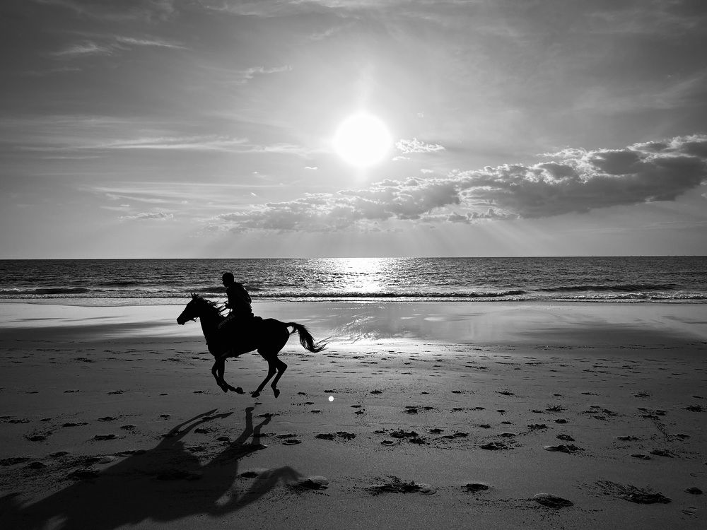 Photograph by Svetlana Rashidova